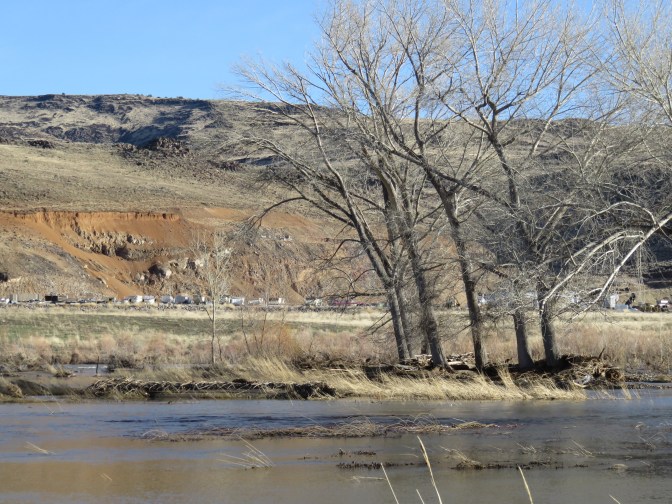 2016_2363_3476_063_-1